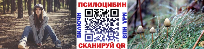 Псилоцибиновые грибы Psilocybe где купить наркотик Нюрба